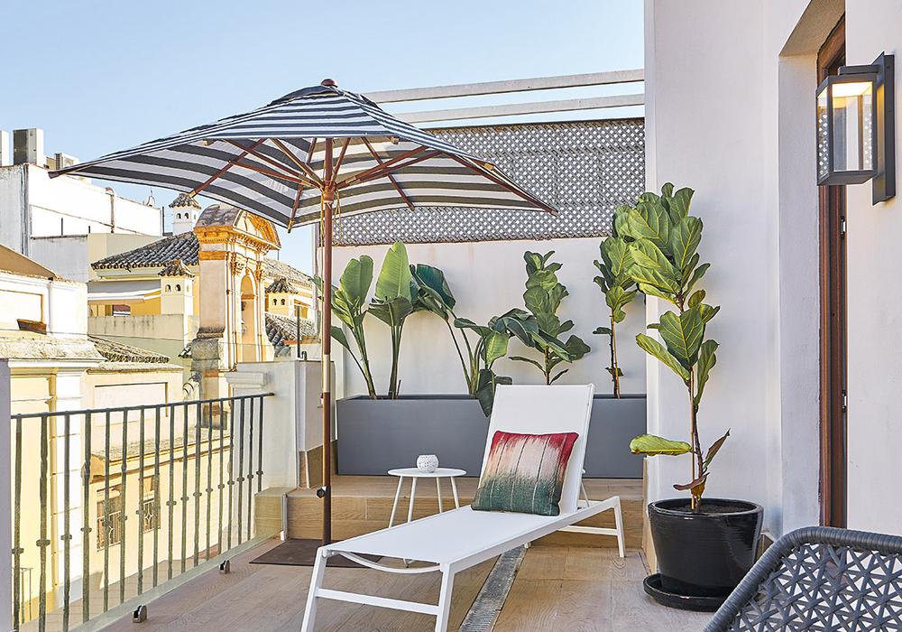 Molviedro Suites Apartments Hotel Molviedro Suites Apartments Sevilla Molviedro Suites Apartments Hotel Molviedro Suites Apartments Sevilla